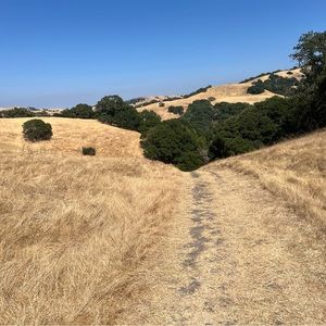 Meet your Posher, Clavaro